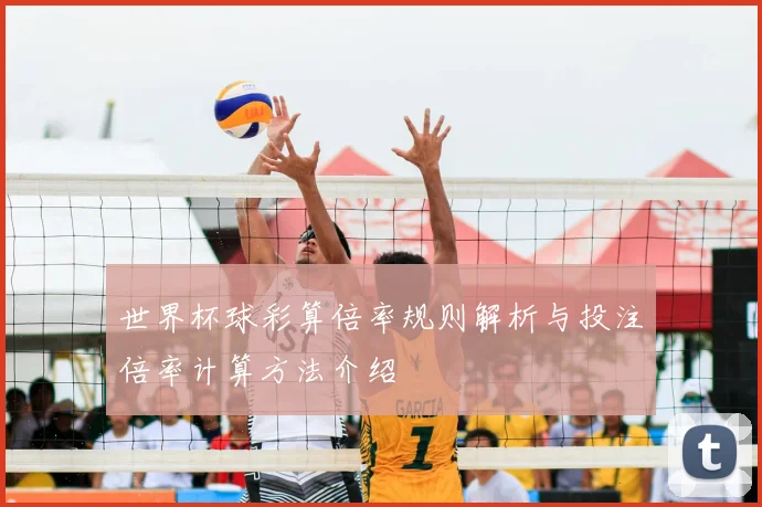 世界杯球彩算倍率规则解析与投注倍率计算方法介绍