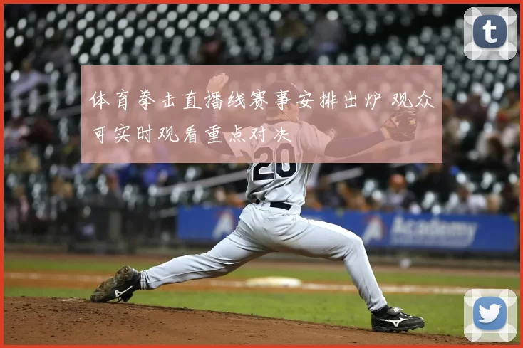 体育拳击直播线赛事安排出炉 观众可实时观看重点对决