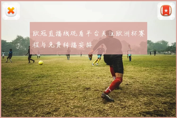 欧冠直播线观看平台关注欧洲杯赛程与免费转播安排
