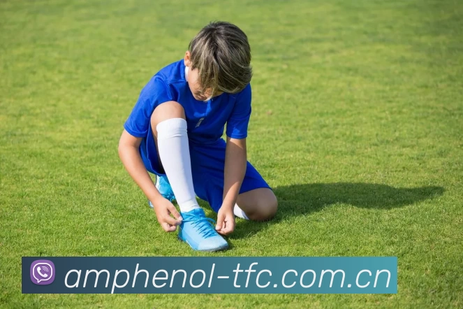 App Interface Preview